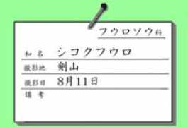 geocities.co.jp Rabele