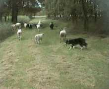 members.chello.nl Rabhin