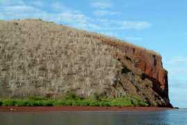 cruisesingalapagos.com Rabida