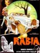 fundaciondoctordepando.com Rabiia
