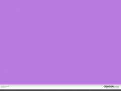 colourlovers.com Rabioso