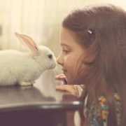 favim.com Rabit