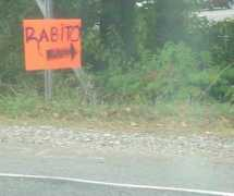 ilyaimy.com Rabito