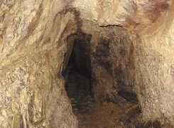 Rabor