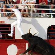coursecamarguaise.midiblogs.com Racanel