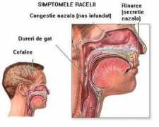 sfatulmedicului.ro Raceala