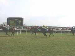 Races