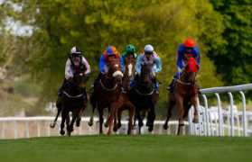 Races