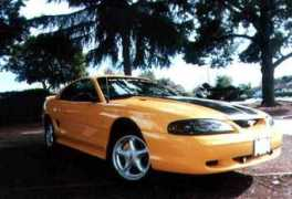 mustangworld.com Rachae