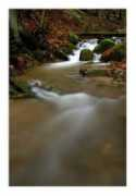 ephoto.sk Racheline