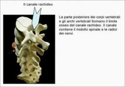 eurospine.org Rachide
