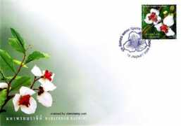 siamstamp.com Rachini