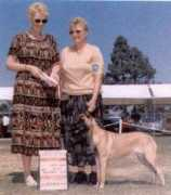 carouselmalinois.com Racie