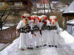 blogu.lu Racile