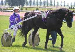 turf.ch Radelina
