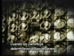 wn.com Radioactivo