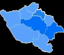 wybory2010.pkw.gov.pl Radlin