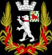 heraldicum.ru Radyn