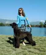 Raffica