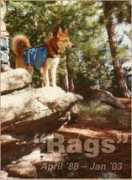 Rag