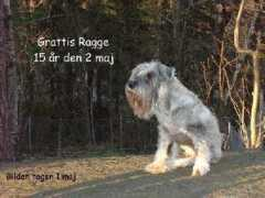 Ragge