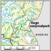 Rago