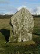 themodernantiquarian.com Raheen