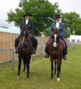 sussexlusitanos.co.uk Rahmatallah