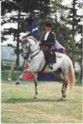 sussexlusitanos.co.uk Rahmatallah