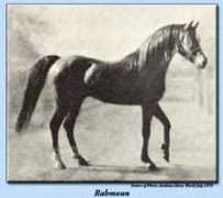 Rahmoun
