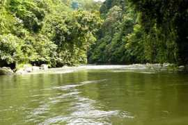 gunung-leuser-trek.net Rahung