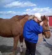 rabbitmountainequestriancenter.com Raian