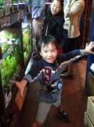 Raida
