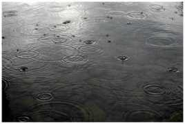 photos.onfocus.com Rained