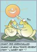 blog.legardemots.fr Rainette