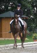 hadel.net Rainhardt