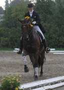 hadel.net Rainhardt