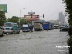 liuzhou.co.uk Rainul