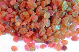 fotolibra.com Raisin