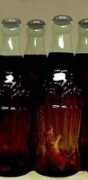 tetonland.free.fr Raivin