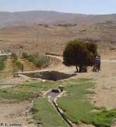 Rajif