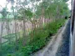 wn.com Rajshahi