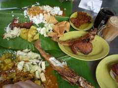 Rajus