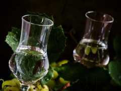 agrobiz.hr Rakija