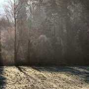photoforum.ru Ralim