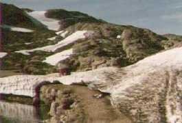Raller