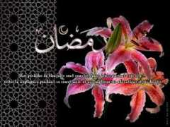 sajidine.com Ramadhane