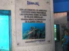 aquarticles.com Ramajal