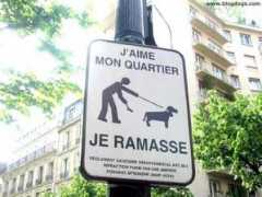 Ramasse