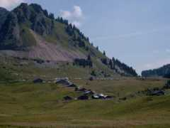Ramaz